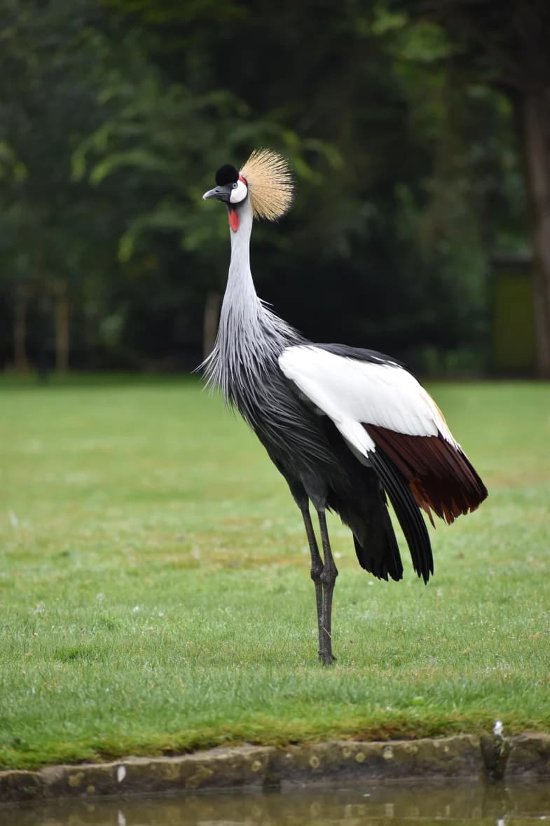 Uganda: Nile to Lakes Adventure — photo 1