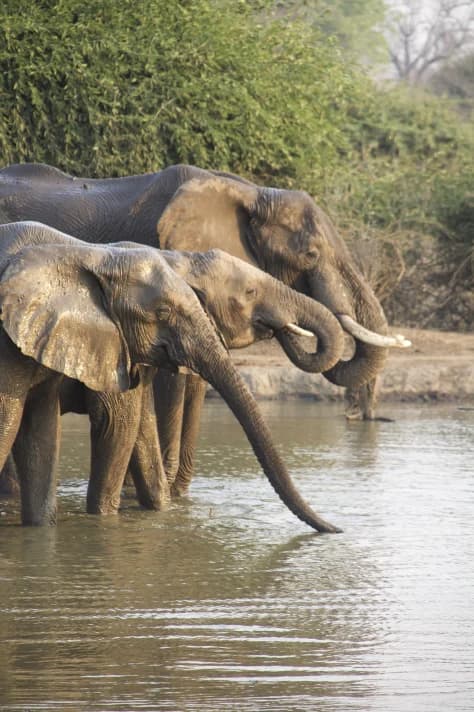 Kenya Wildlife & Culture Safari — photo 1