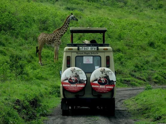 Kenya Wildlife & Culture Safari — photo 2