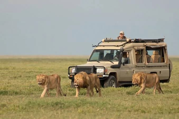 Kenya Wildlife & Culture Safari — photo 3